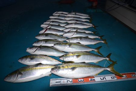 アジアマリンサービス 釣果