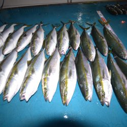 アジアマリンサービス 釣果