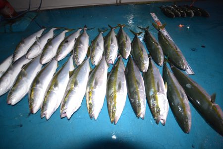 アジアマリンサービス 釣果