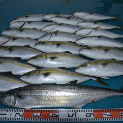 アジアマリンサービス 釣果