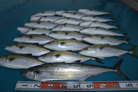 アジアマリンサービス 釣果