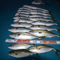 アジアマリンサービス 釣果