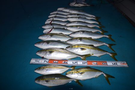 アジアマリンサービス 釣果