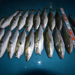 アジアマリンサービス 釣果