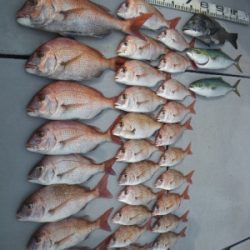 磯部釣船 直栄丸 釣果