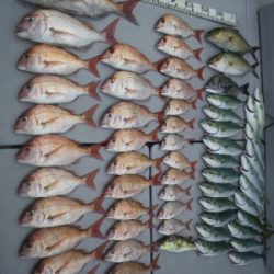 磯部釣船 直栄丸 釣果