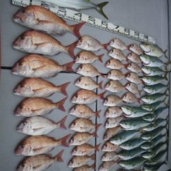 磯部釣船 直栄丸 釣果