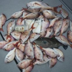 磯部釣船 直栄丸 釣果