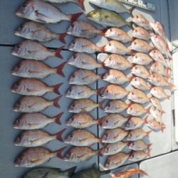 磯部釣船 直栄丸 釣果