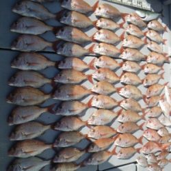 磯部釣船 直栄丸 釣果