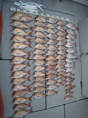 磯部釣船 直栄丸 釣果