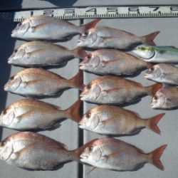 磯部釣船 直栄丸 釣果