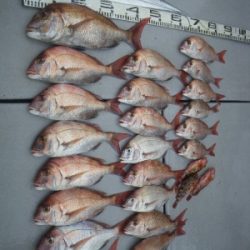 磯部釣船 直栄丸 釣果