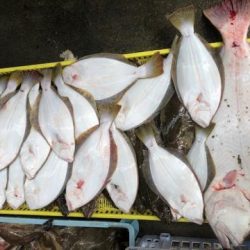 Sea Frend 片山丸 釣果