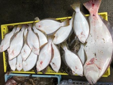 Sea Frend 片山丸 釣果