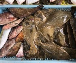 Sea Frend 片山丸 釣果