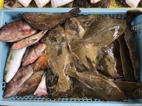 Sea Frend 片山丸 釣果