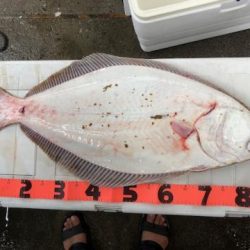 Sea Frend 片山丸 釣果