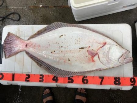 Sea Frend 片山丸 釣果