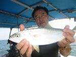 山本丸 釣果