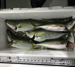 さぶろう丸 釣果