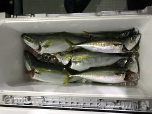 さぶろう丸 釣果