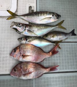さぶろう丸 釣果