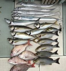 さぶろう丸 釣果