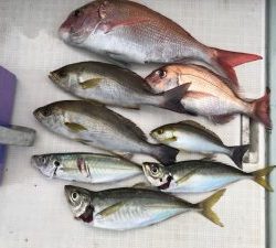 さぶろう丸 釣果