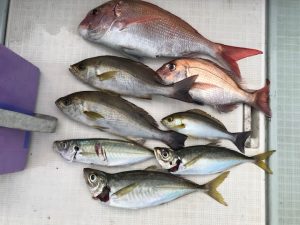 さぶろう丸 釣果
