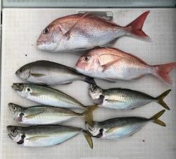 さぶろう丸 釣果