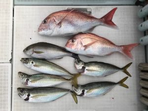 さぶろう丸 釣果