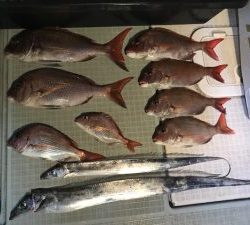 さぶろう丸 釣果