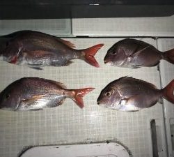 さぶろう丸 釣果