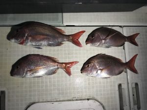 さぶろう丸 釣果