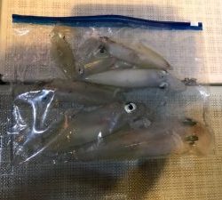 さぶろう丸 釣果