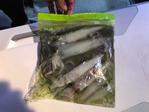 さぶろう丸 釣果