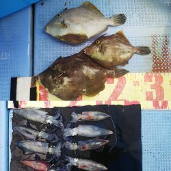 第二常豊丸 釣果