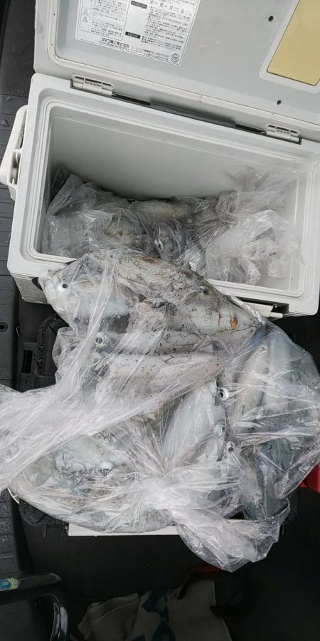 金剛丸 釣果