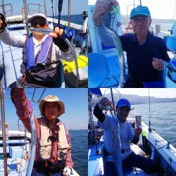 第二常豊丸 釣果