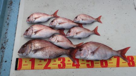 はらまる 釣果
