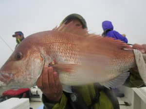兼六丸 釣果
