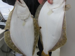 兼六丸 釣果