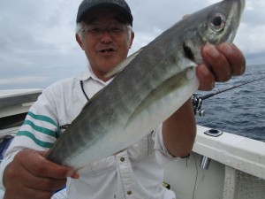 兼六丸 釣果