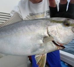 兼六丸 釣果