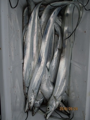 海人丸（うみんちゅまる） 釣果