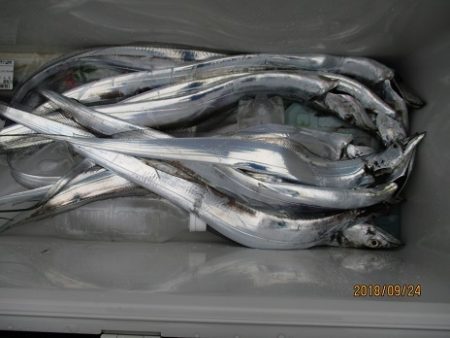 海人丸（うみんちゅまる） 釣果