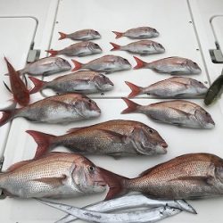 フィシングボートAir(エアー) 釣果