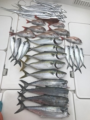 フィシングボートAir(エアー) 釣果