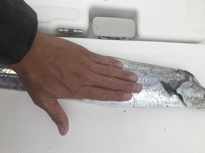 フィシングボートAir(エアー) 釣果